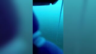 Isla Mujeres (Исла-Мухерес), Мексика подводная охота у рифа