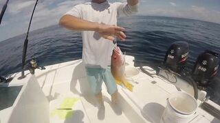 Jaco (Хако) и Herradura Bay (Херрадура) - иншор на живца