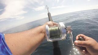 Jaco (Хако) и Herradura Bay (Херрадура) - иншор на живца