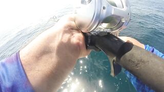 Jaco (Хако) и Herradura Bay (Херрадура) - иншор на живца