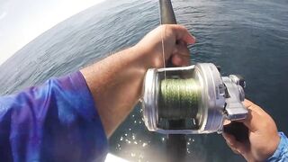 Jaco (Хако) и Herradura Bay (Херрадура) - иншор на живца