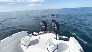 Jaco (Хако) и Herradura Bay (Херрадура) - иншор на живца