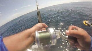 Jaco (Хако) и Herradura Bay (Херрадура) - иншор на живца