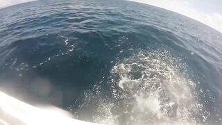 Jaco (Хако) и Herradura Bay (Херрадура) - иншор на живца