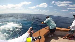 Los Sueños (Лос-Суэнос), Costa Rica: экзотика и парусник в иншоре