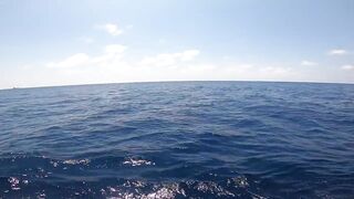 Los Sueños (Лос-Суэнос), Costa Rica: экзотика и парусник в иншоре