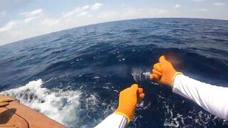 Los Sueños (Лос-Суэнос), Costa Rica: экзотика и парусник в иншоре