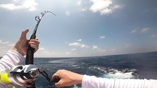 Los Sueños (Лос-Суэнос), Costa Rica: экзотика и парусник в иншоре