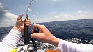 Los Sueños (Лос-Суэнос), Costa Rica: экзотика и парусник в иншоре