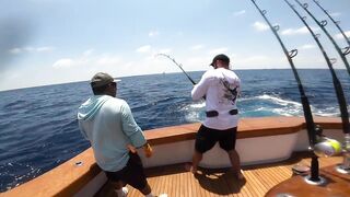 Los Sueños (Лос-Суэнос), Costa Rica: экзотика и парусник в иншоре