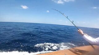 Los Sueños (Лос-Суэнос), Costa Rica: экзотика и парусник в иншоре