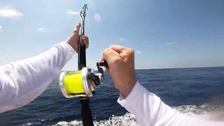 Los Sueños (Лос-Суэнос), Costa Rica: экзотика и парусник в иншоре