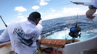 Los Sueños (Лос-Суэнос), Costa Rica: экзотика и парусник в иншоре