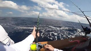 Los Sueños (Лос-Суэнос), Costa Rica: экзотика и парусник в иншоре