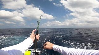 Los Sueños (Лос-Суэнос), Costa Rica: экзотика и парусник в иншоре