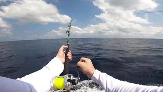 Los Sueños (Лос-Суэнос), Costa Rica: экзотика и парусник в иншоре