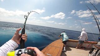 Los Sueños (Лос-Суэнос), Costa Rica: экзотика и парусник в иншоре