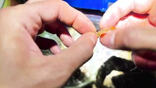 Морская рыбалка в Сочи: ставридка и береговой спин с мола