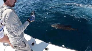 Playa Flamingo (Плайя-Фламинго) по морской рыбалке кто подскажет точки