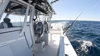 Playa Flamingo (Плайя-Фламинго) по морской рыбалке кто подскажет точки