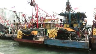 Kota Kinabalu (Кота-Кинабалу) - рыбацкая гавань с воздуха, Сабах