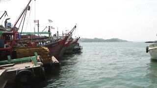 Kota Kinabalu (Кота-Кинабалу) - рыбацкая гавань с воздуха, Сабах