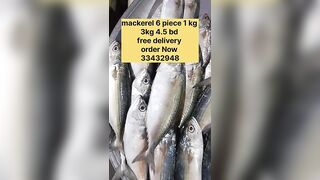 Бахрейн: сегодня крупная скумбрия, кто в теме