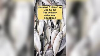 Бахрейн: сегодня крупная скумбрия, кто в теме