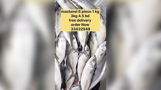 Бахрейн: сегодня крупная скумбрия, кто в теме