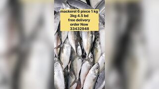 Бахрейн: сегодня крупная скумбрия, кто в теме