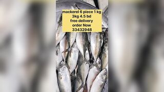 Бахрейн: сегодня крупная скумбрия, кто в теме