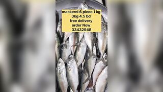 Бахрейн: сегодня крупная скумбрия, кто в теме