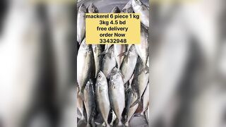 Бахрейн: сегодня крупная скумбрия, кто в теме