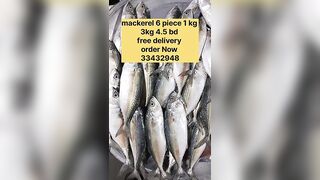 Бахрейн: сегодня крупная скумбрия, кто в теме