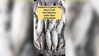 Бахрейн: сегодня крупная скумбрия, кто в теме