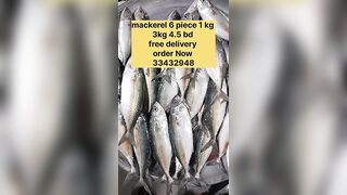 Бахрейн: сегодня крупная скумбрия, кто в теме