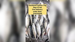 Бахрейн: сегодня крупная скумбрия, кто в теме