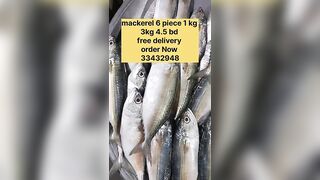 Бахрейн: сегодня крупная скумбрия, кто в теме