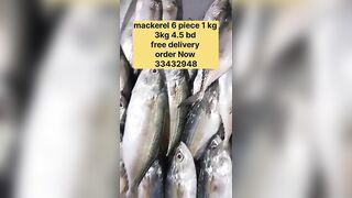 Бахрейн: сегодня крупная скумбрия, кто в теме