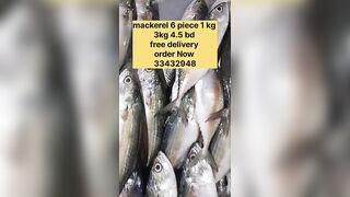 Бахрейн: сегодня крупная скумбрия, кто в теме