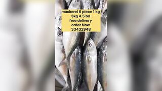 Бахрейн: сегодня крупная скумбрия, кто в теме