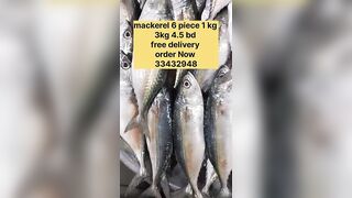 Бахрейн: сегодня крупная скумбрия, кто в теме