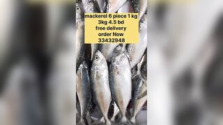 Бахрейн: сегодня крупная скумбрия, кто в теме