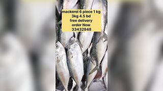 Бахрейн: сегодня крупная скумбрия, кто в теме