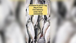 Бахрейн: сегодня крупная скумбрия, кто в теме