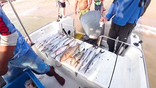 Морская рыбалка. Паттайя. Таиланд