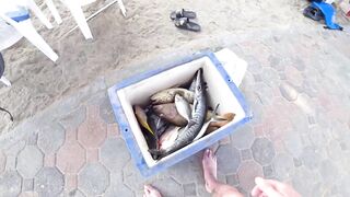Морская рыбалка. Паттайя. Таиланд
