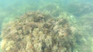 Голубая бухта 35-я батарея Чёрное море июнь 2018 рыбалка у берега