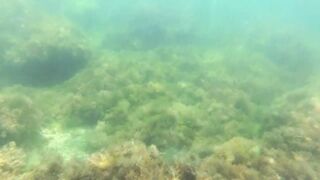 Голубая бухта 35-я батарея Чёрное море июнь 2018 рыбалка у берега