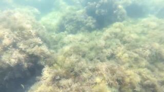 Голубая бухта 35-я батарея Чёрное море июнь 2018 рыбалка у берега